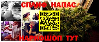 мяу мяу мука Бузулук
