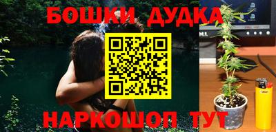 МДПВ Будённовск
