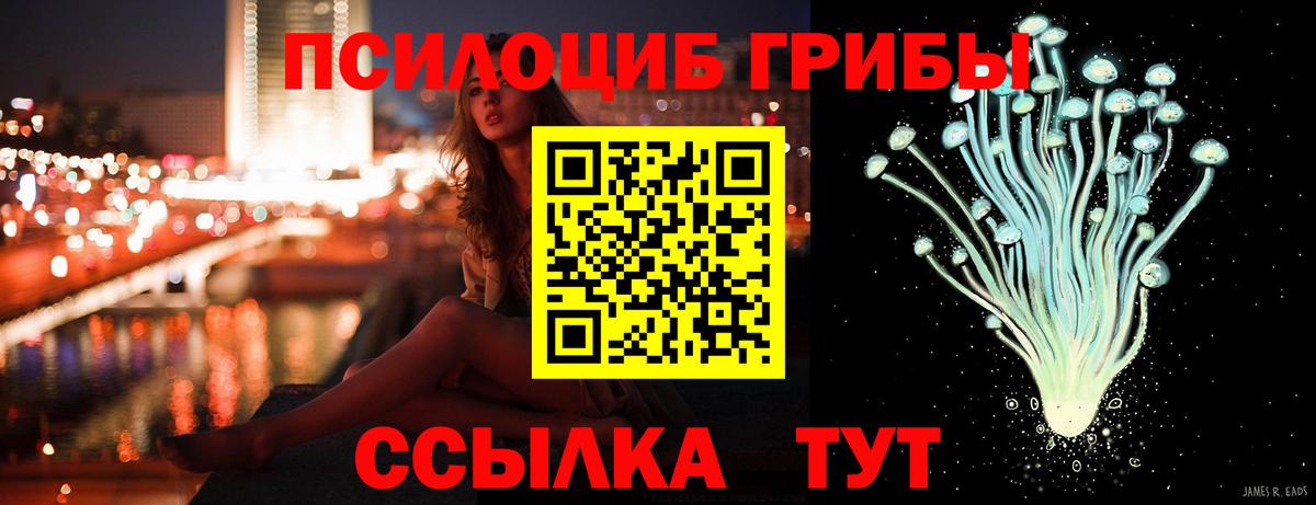 Волжский  Галлюциногенные грибы GOLDEN TEACHER  купить закладку  Вход с VPN 
