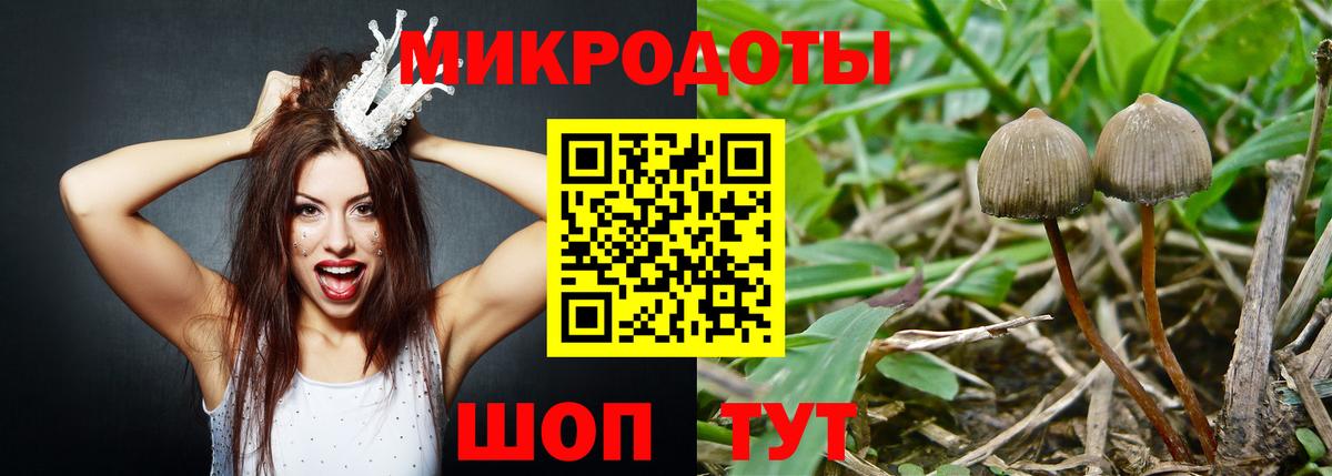 Псилоцибиновые грибы Psilocybe Волжский